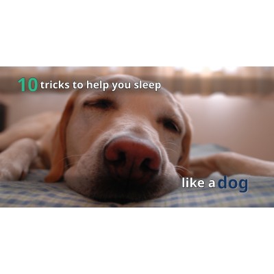 10 Tricks to Help You Sleep Like a Dog